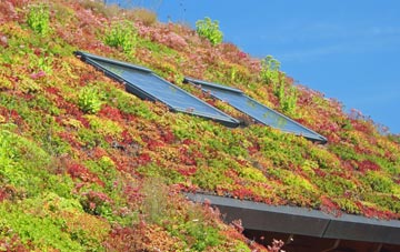 Scorton living roof systems
