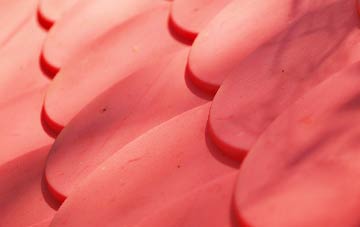 Scorton plastic roof costs