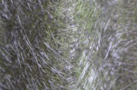 Scorton fibreglass roof work